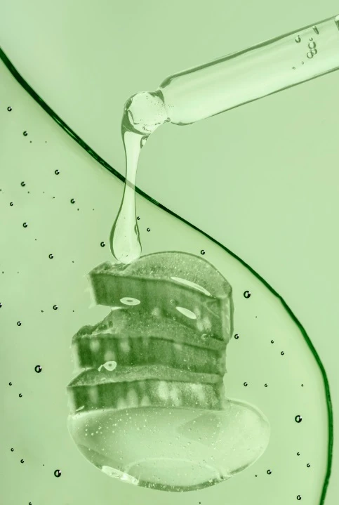 Kusy aloe veru s kapající zelenou šťávou na světlém pozadí.