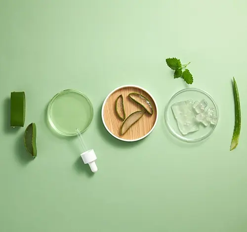Suroviny aloe vera s listy, gelem v miskách a pipetou na zeleném pozadí.