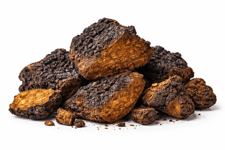 Kusy hřib Chaga s tmavou kůrou a hnědým vnitřkem.