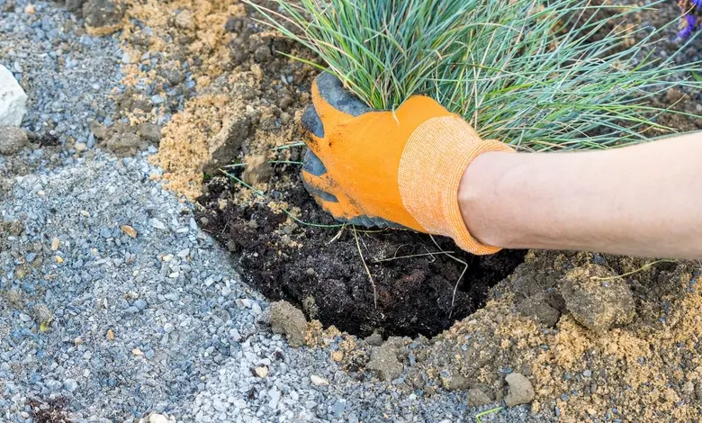 Ruce s rukavicemi zasazují trávku do skalky na svahu.