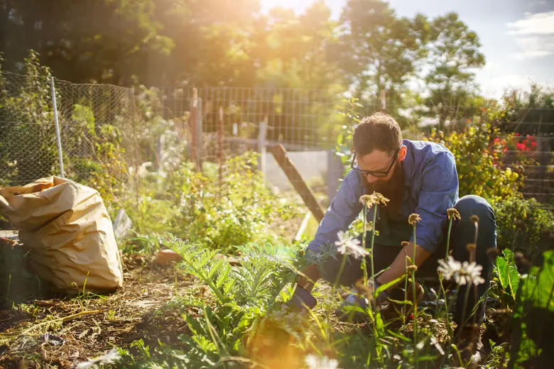 Man gardening on slope